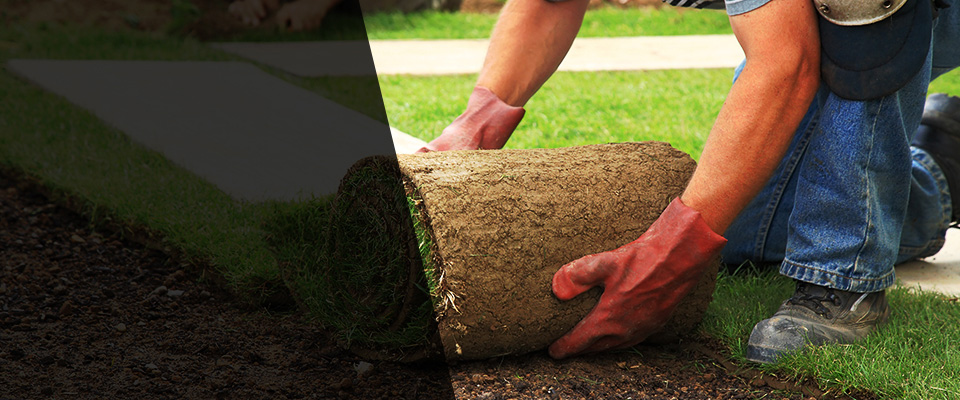 Gatesville Landscapers